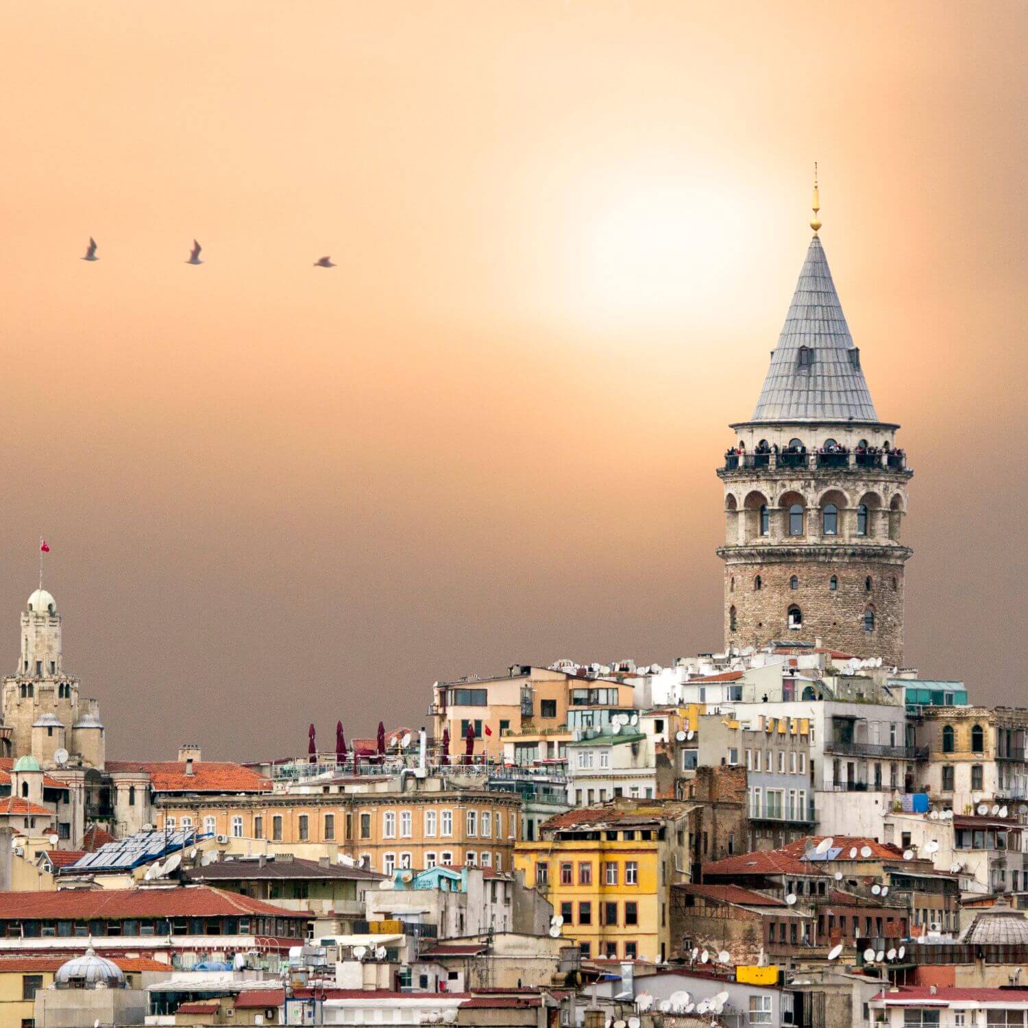 Istanbul skyline with iconic landmarks, promoting all Istanbul tours.