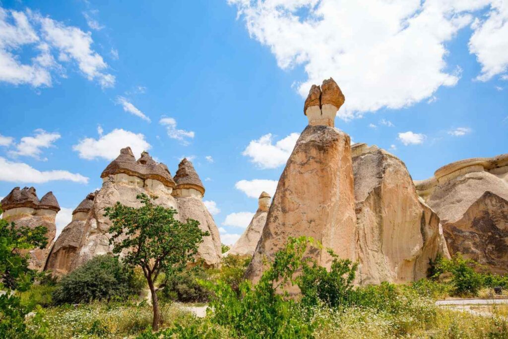 Distinctive mushroom-shaped rock formations in Pasabag Valley, Cappadocia, set against a rugged, scenic landscape.