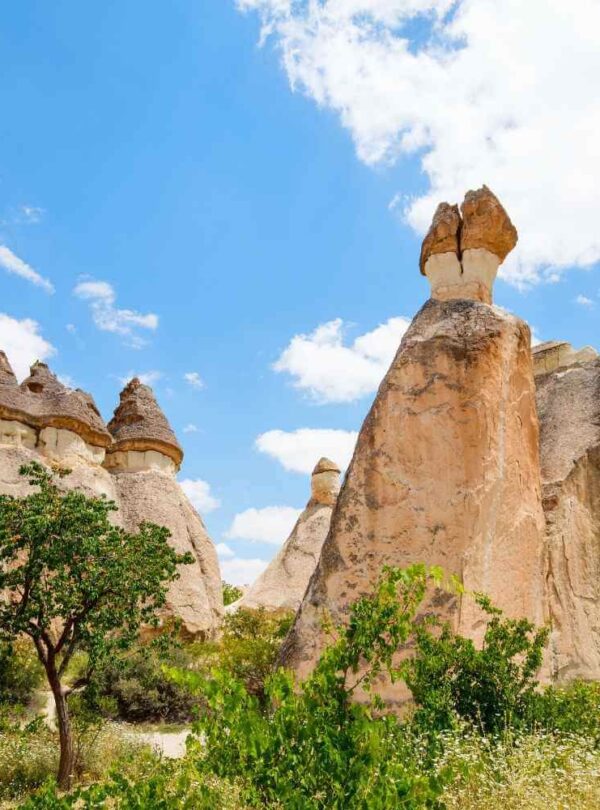 Distinctive mushroom-shaped rock formations in Pasabag Valley, Cappadocia, set against a rugged, scenic landscape.