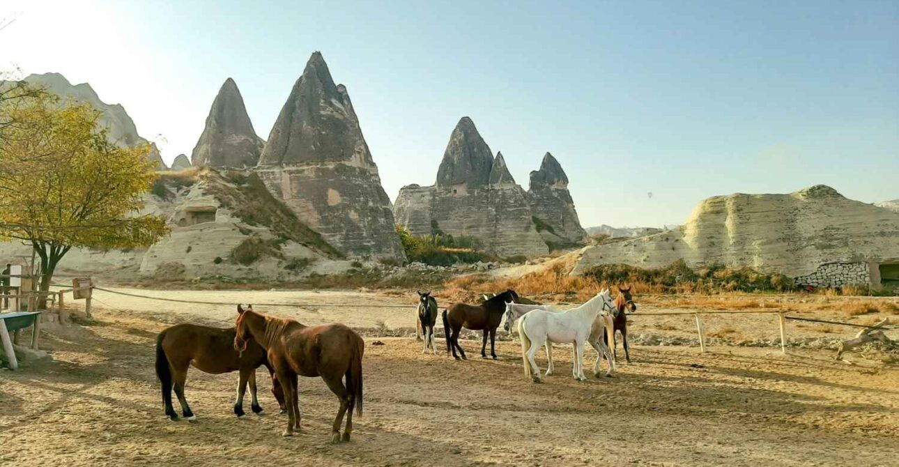 Cappadocia Horseback Riding