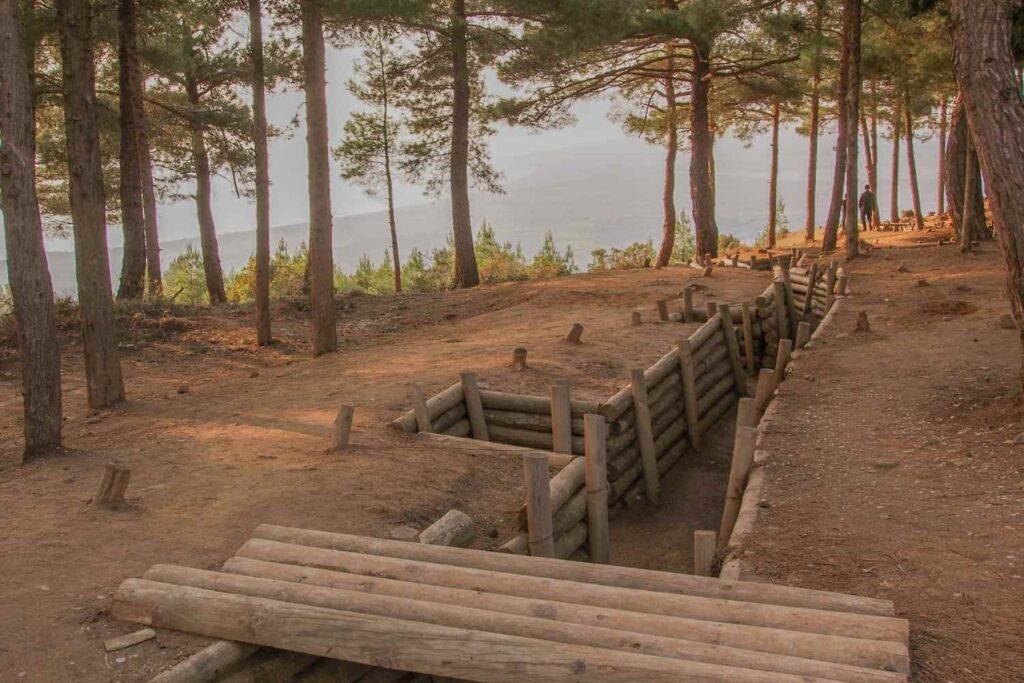 Historical war trench in a forested area with wooden reinforcements, surrounded by tall pine trees and overlooking a misty landscape.