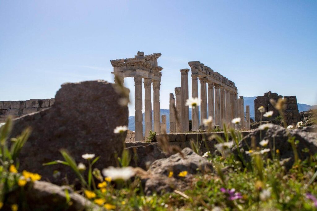 Ruins of the Altar of Zeus in Pergamon, Turkey, viewed through wildflowers and rocks under a clear blue sky.