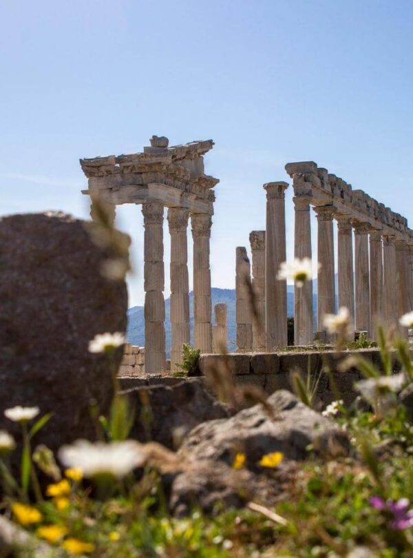 Ruins of the Altar of Zeus in Pergamon, Turkey, viewed through wildflowers and rocks under a clear blue sky.