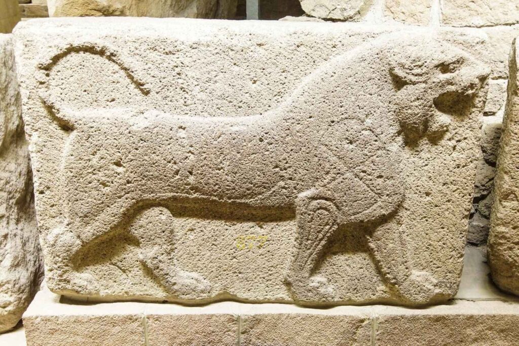 Ancient stone relief of a lion, intricately carved, showcasing Hittite artistry and cultural significance in Anatolia, displayed in Ankara.